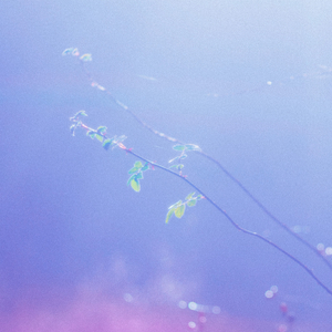 国产JIZZ🈵️18高清视频
