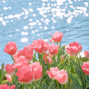 国产JIZZ🈵️18高清视频
